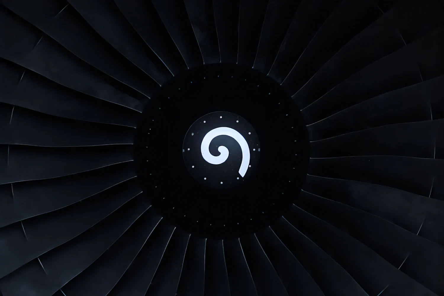 Dark jet engine fan blades with a white spiral spinner, close-up